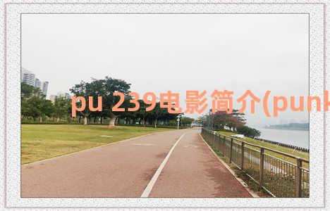 pu 239电影简介(punk电影)